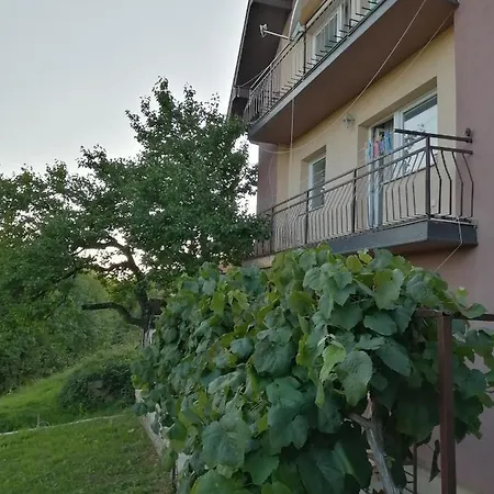 Uzicki-konaci Apartman Uzice