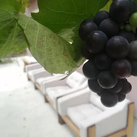 Uzicki-konaci * Uzice