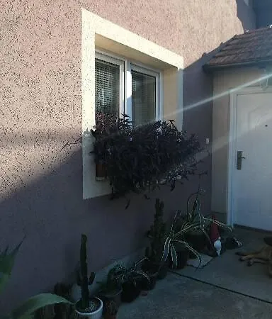 Uzicki-konaci Apartman Uzice