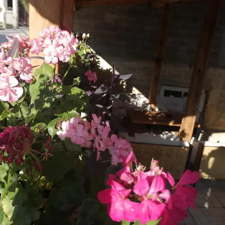 Apartman Uzicki-konaci Uzice