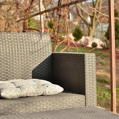 Διαμέρισμα Uzicki-konaci *