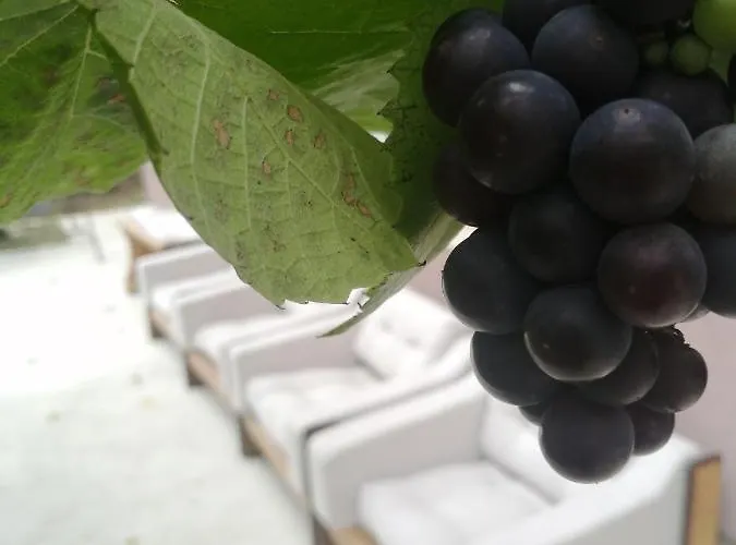 Uzicki-konaci * Užice