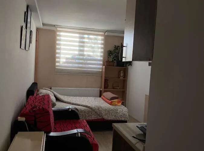 Διαμέρισμα Uzicki-konaci *