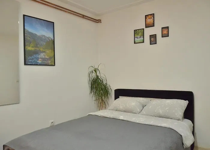 Διαμέρισμα Uzicki-konaci *